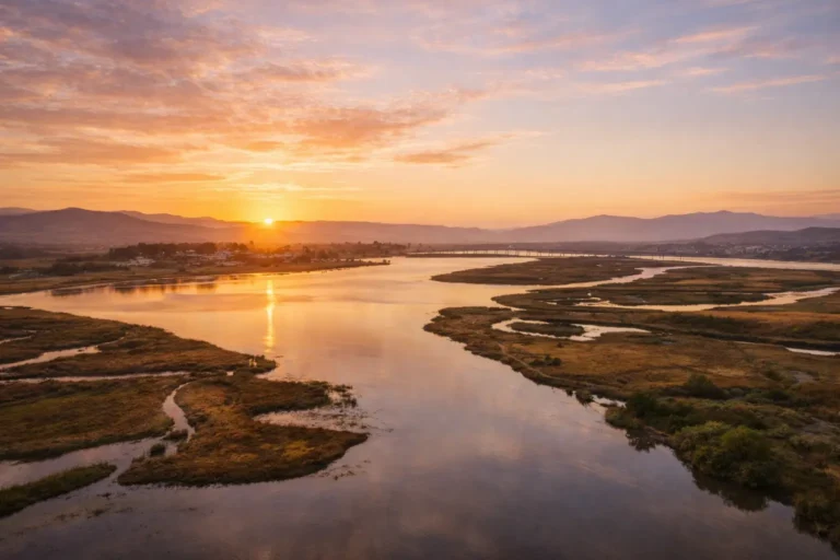 Aerial view of American Canyon wetlands and Napa River in Napa County California